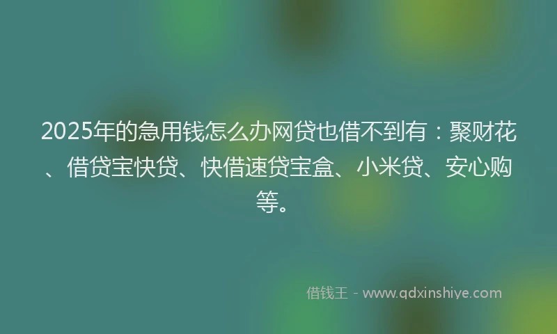 2025年的急用钱怎么办网贷也借不到有：聚财花、借贷宝快贷、快借速贷宝盒、小米贷、安心购等。