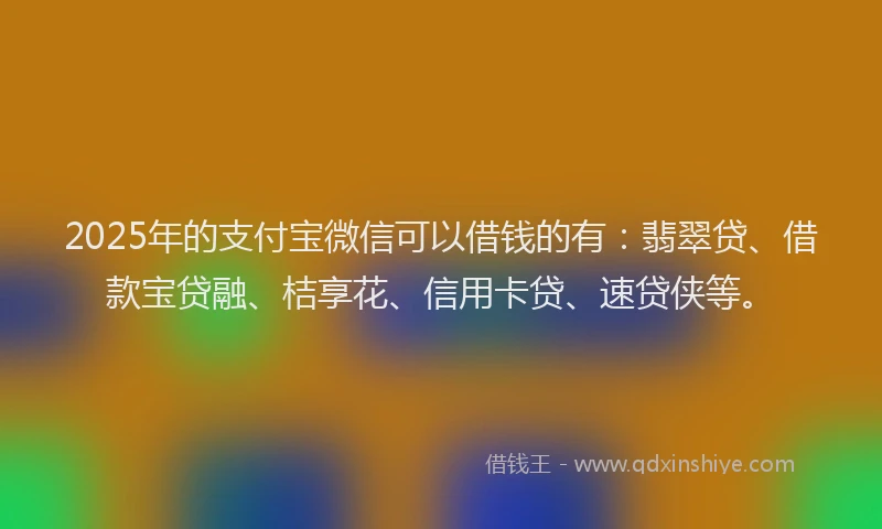 2025年的支付宝微信可以借钱的有：翡翠贷、借款宝贷融、桔享花、信用卡贷、速贷侠等。