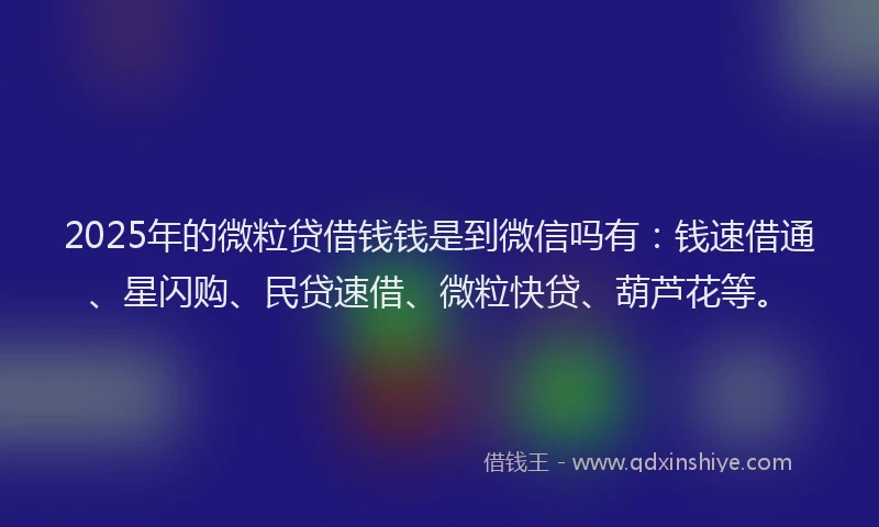 2025年的微粒贷借钱钱是到微信吗有：钱速借通、星闪购、民贷速借、微粒快贷、葫芦花等。