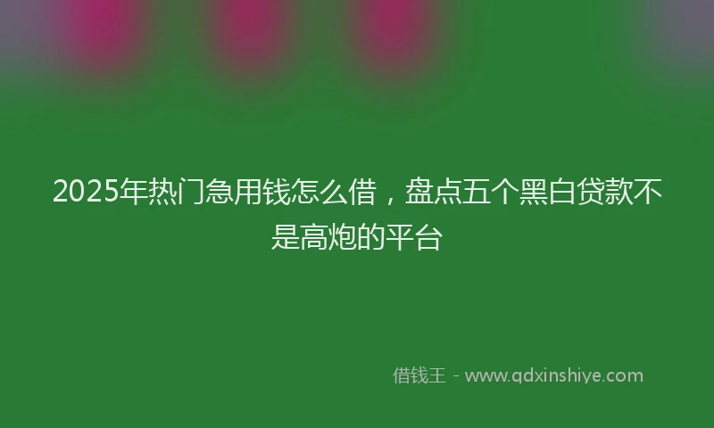 2025年热门急用钱怎么借，盘点五个黑白贷款不是高炮的平台