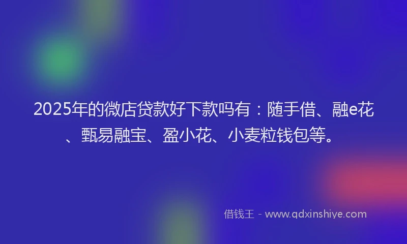 2025年的微店贷款好下款吗有：随手借、融e花、甄易融宝、盈小花、小麦粒钱包等。