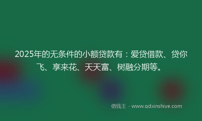 2025年的无条件的小额贷款有：爱贷借款、贷你飞、享来花、天天富、树融分期等。