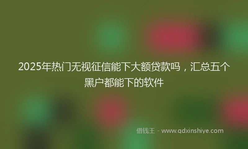 2025年热门无视征信能下大额贷款吗，汇总五个黑户都能下的软件