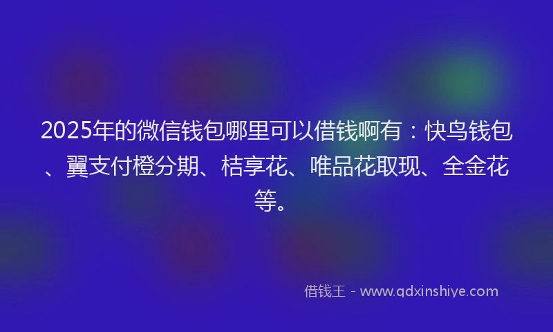 2025年的微信钱包哪里可以借钱啊有：快鸟钱包、翼支付橙分期、桔享花、唯品花取现、全金花等。