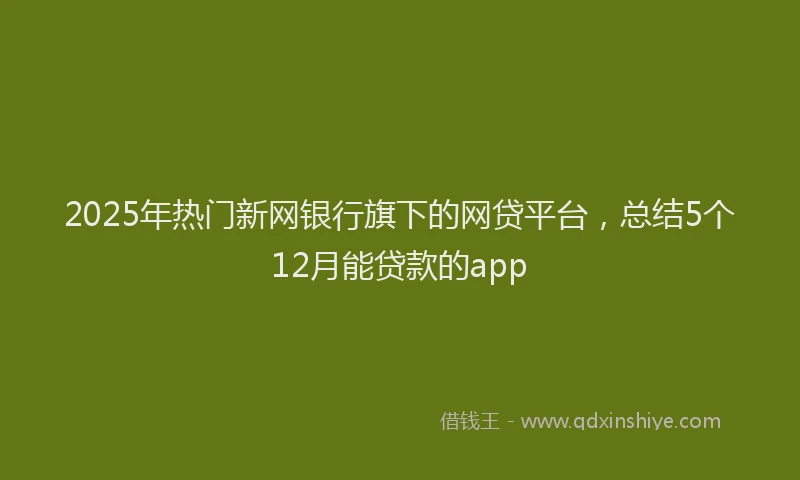 2025年热门新网银行旗下的网贷平台，总结5个12月能贷款的app