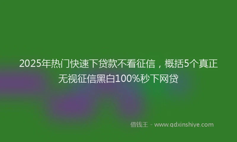 2025年热门快速下贷款不看征信，概括5个真正无视征信黑白100%秒下网贷