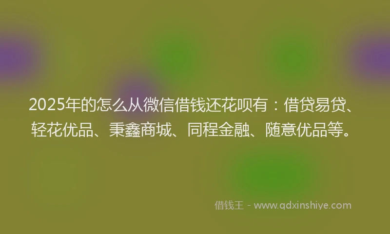2025年的怎么从微信借钱还花呗有：借贷易贷、轻花优品、秉鑫商城、同程金融、随意优品等。