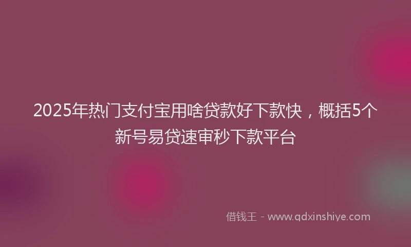 2025年热门支付宝用啥贷款好下款快，概括5个新号易贷速审秒下款平台