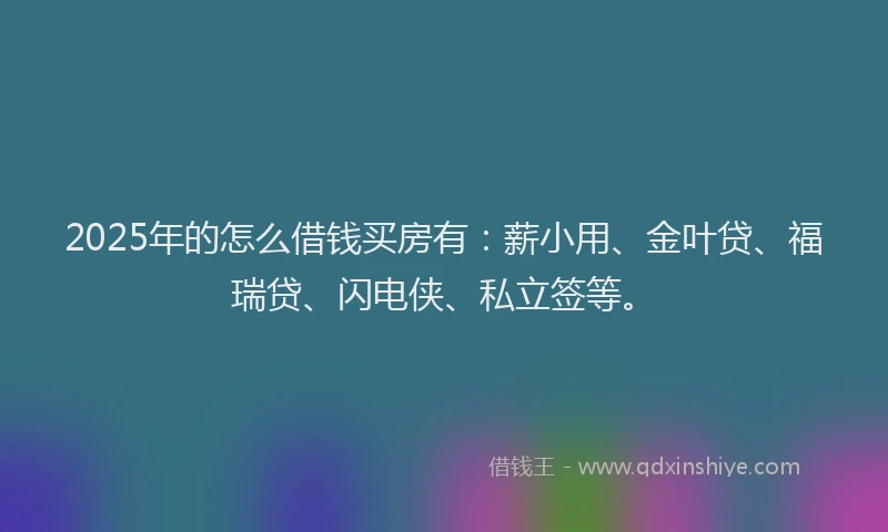 2025年的怎么借钱买房有：薪小用、金叶贷、福瑞贷、闪电侠、私立签等。
