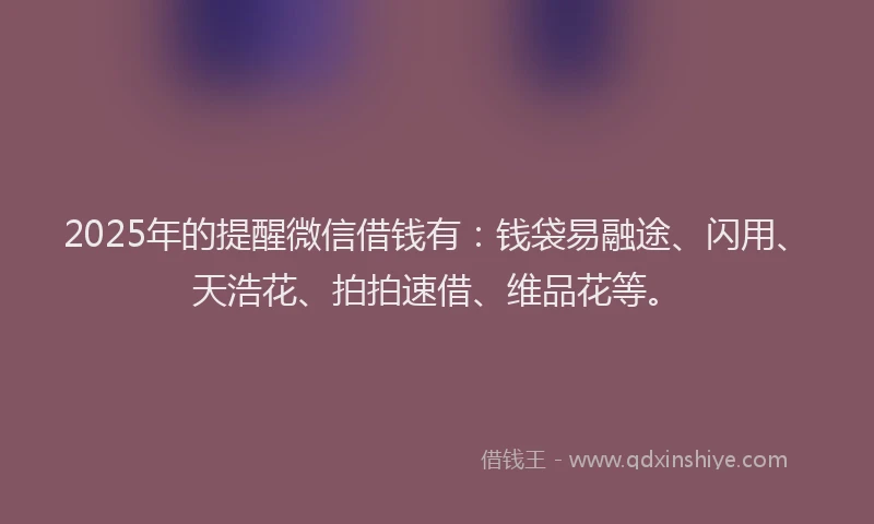 2025年的提醒微信借钱有：钱袋易融途、闪用、天浩花、拍拍速借、维品花等。