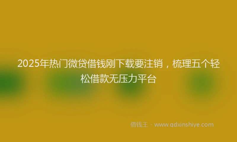 2025年热门微贷借钱刚下载要注销，梳理五个轻松借款无压力平台