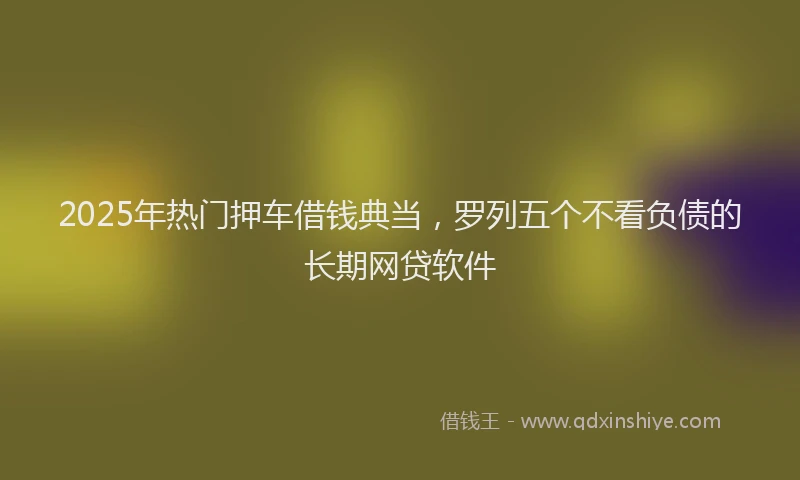 2025年热门押车借钱典当，罗列五个不看负债的长期网贷软件