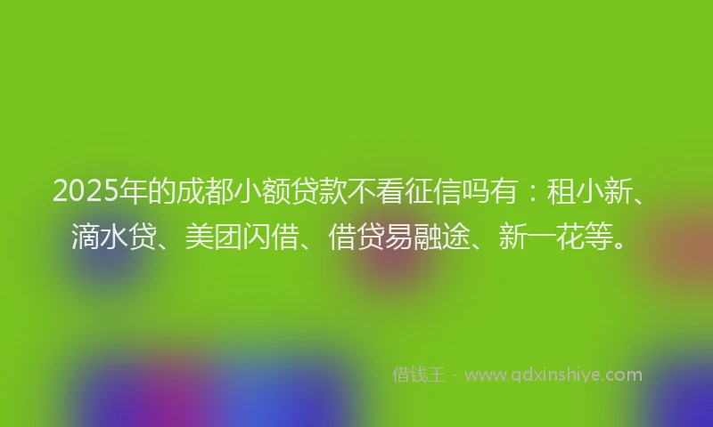2025年的成都小额贷款不看征信吗有：租小新、滴水贷、美团闪借、借贷易融途、新一花等。