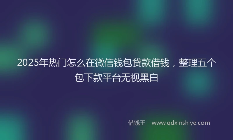 2025年热门怎么在微信钱包贷款借钱，整理五个包下款平台无视黑白