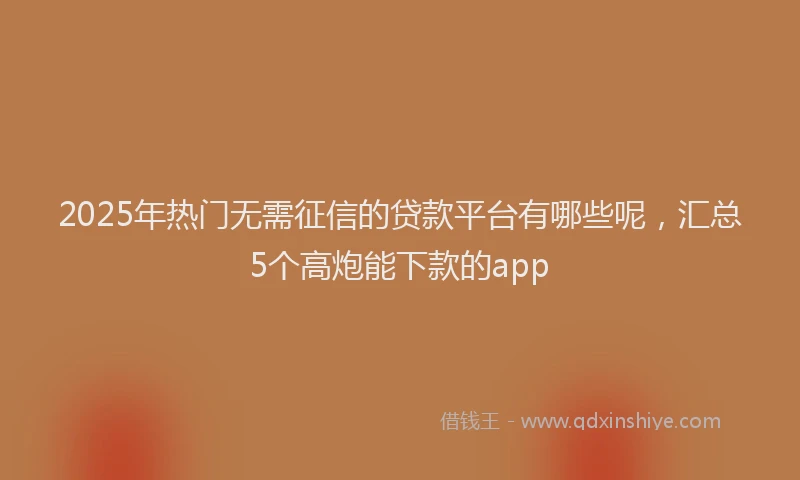 2025年热门无需征信的贷款平台有哪些呢，汇总5个高炮能下款的app