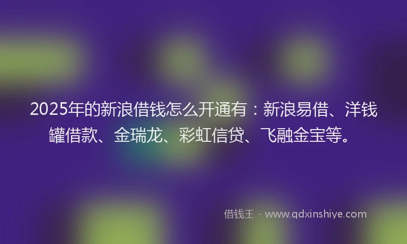 2025年的新浪借钱怎么开通有：新浪易借、洋钱罐借款、金瑞龙、彩虹信贷、飞融金宝等。