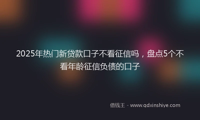 2025年热门新贷款口子不看征信吗，盘点5个不看年龄征信负债的口子
