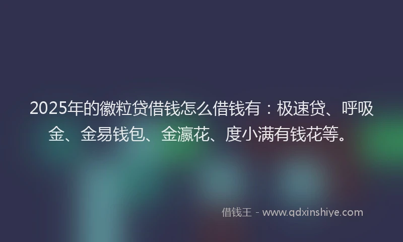 2025年的徽粒贷借钱怎么借钱有：极速贷、呼吸金、金易钱包、金瀛花、度小满有钱花等。