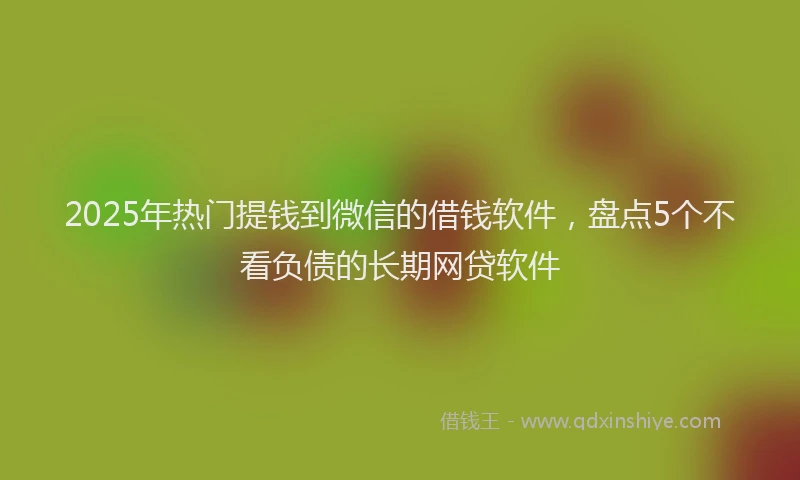 2025年热门提钱到微信的借钱软件，盘点5个不看负债的长期网贷软件