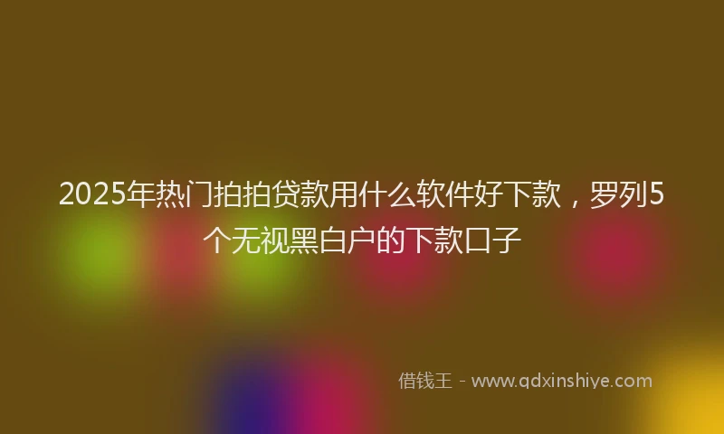2025年热门拍拍贷款用什么软件好下款，罗列5个无视黑白户的下款口子