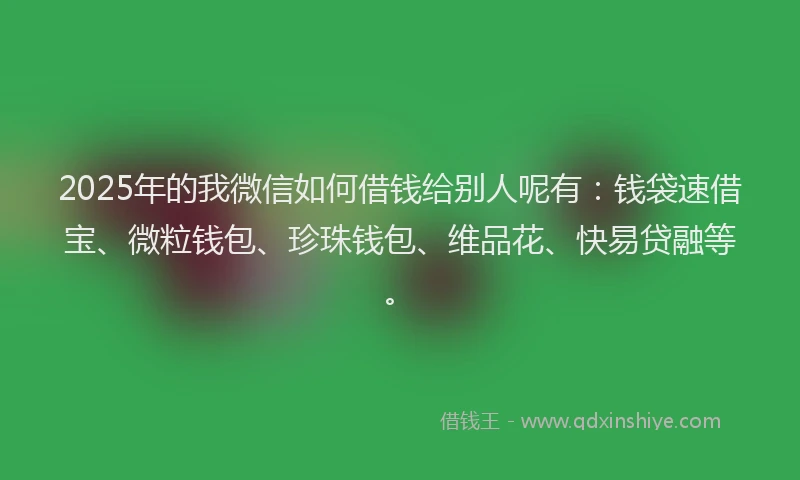 2025年的我微信如何借钱给别人呢有：钱袋速借宝、微粒钱包、珍珠钱包、维品花、快易贷融等。