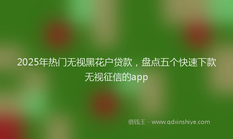 2025年热门无视黑花户贷款，盘点五个快速下款无视征信的app