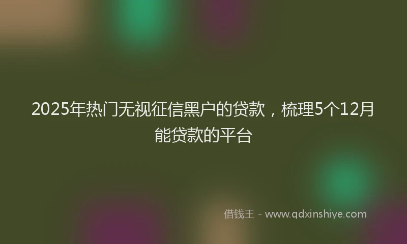 2025年热门无视征信黑户的贷款，梳理5个12月能贷款的平台