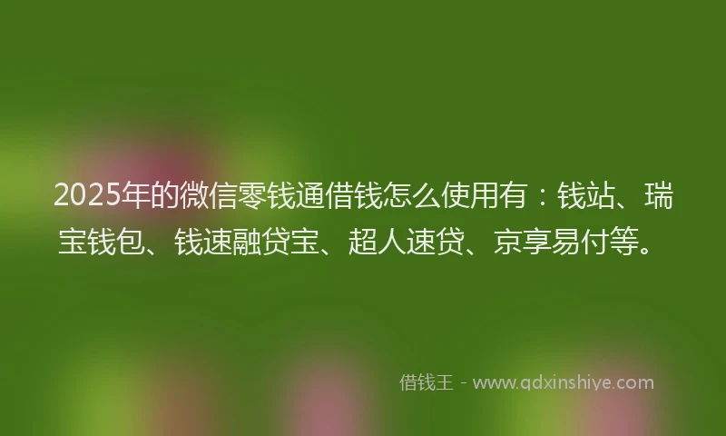 2025年的微信零钱通借钱怎么使用有：钱站、瑞宝钱包、钱速融贷宝、超人速贷、京享易付等。