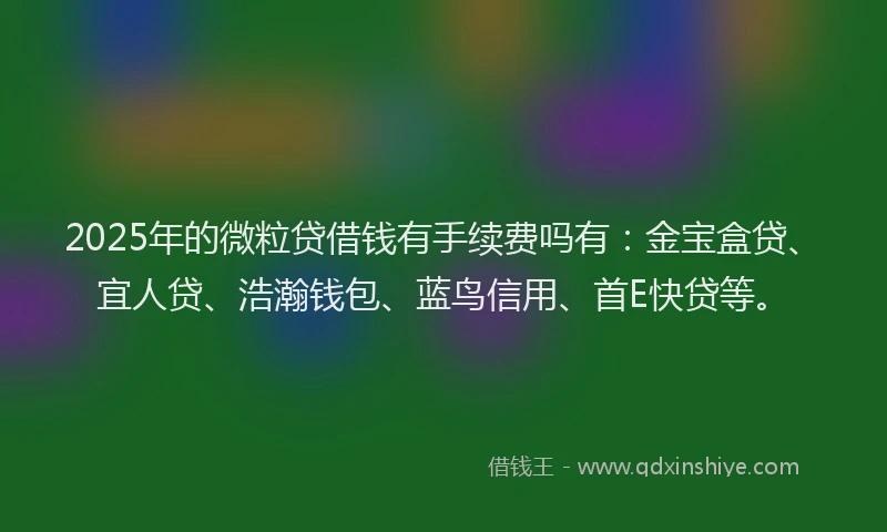 2025年的微粒贷借钱有手续费吗有：金宝盒贷、宜人贷、浩瀚钱包、蓝鸟信用、首E快贷等。