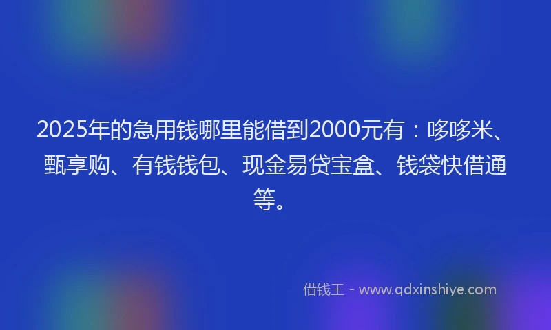 2025年的急用钱哪里能借到2000元有：哆哆米、甄享购、有钱钱包、现金易贷宝盒、钱袋快借通等。