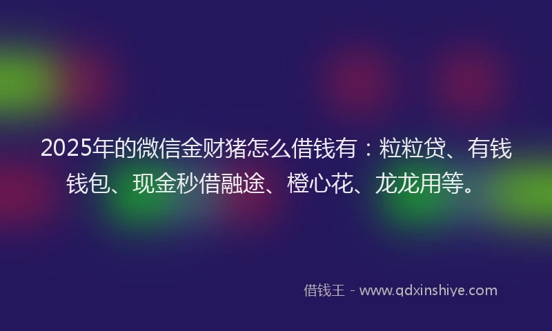 2025年的微信金财猪怎么借钱有：粒粒贷、有钱钱包、现金秒借融途、橙心花、龙龙用等。