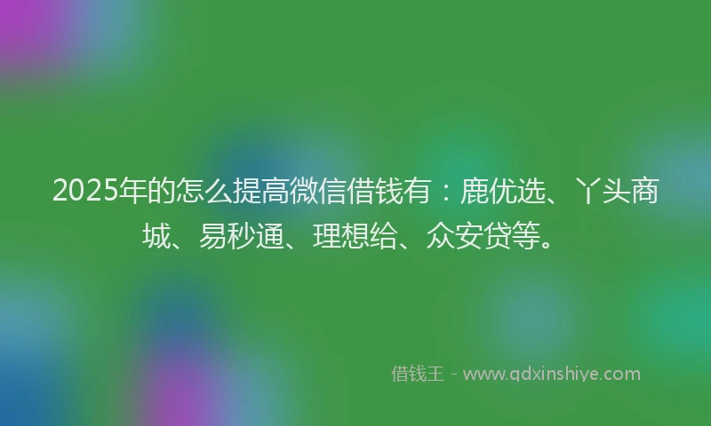 2025年的怎么提高微信借钱有：鹿优选、丫头商城、易秒通、理想给、众安贷等。