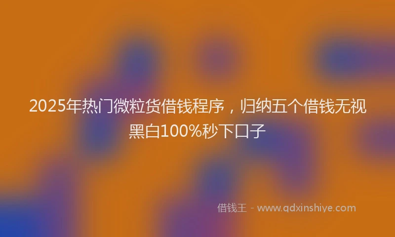 2025年热门微粒货借钱程序，归纳五个借钱无视黑白100%秒下口子