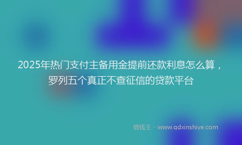 2025年热门支付主备用金提前还款利息怎么算，罗列五个真正不查征信的贷款平台