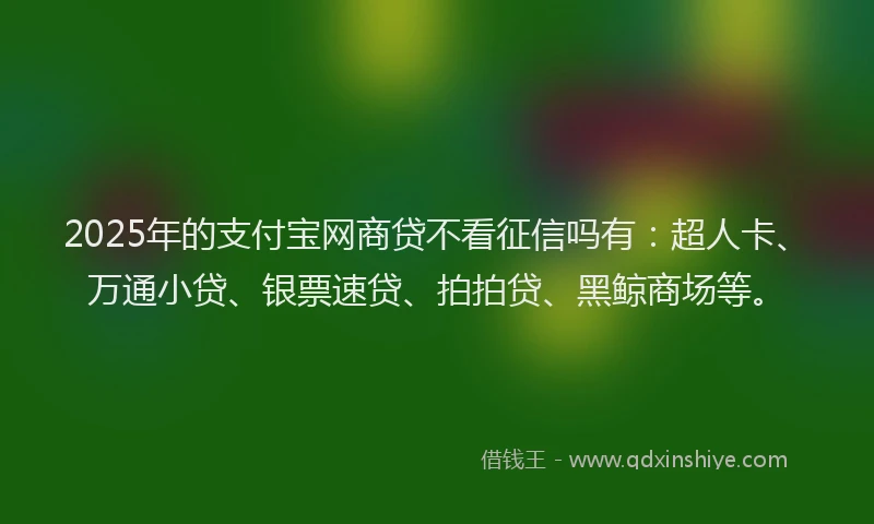 2025年的支付宝网商贷不看征信吗有：超人卡、万通小贷、银票速贷、拍拍贷、黑鲸商场等。