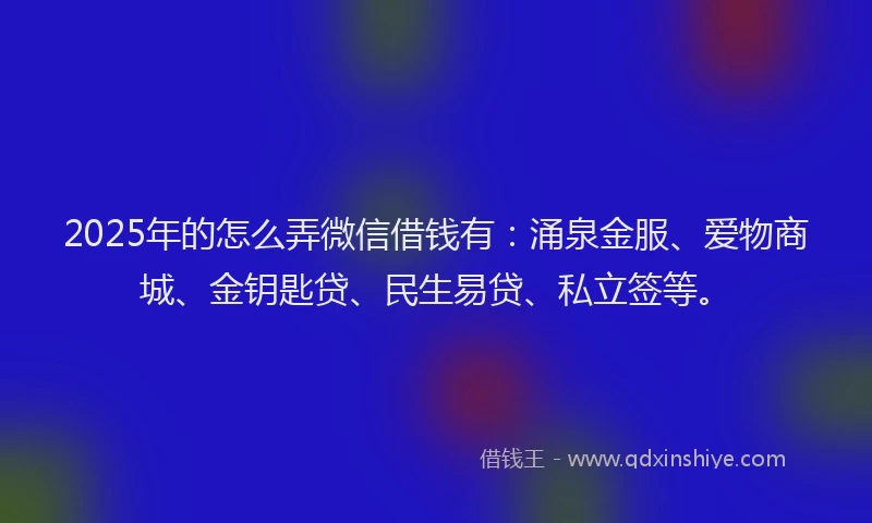 2025年的怎么弄微信借钱有：涌泉金服、爱物商城、金钥匙贷、民生易贷、私立签等。