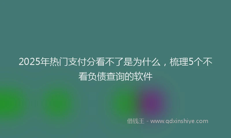 2025年热门支付分看不了是为什么，梳理5个不看负债查询的软件