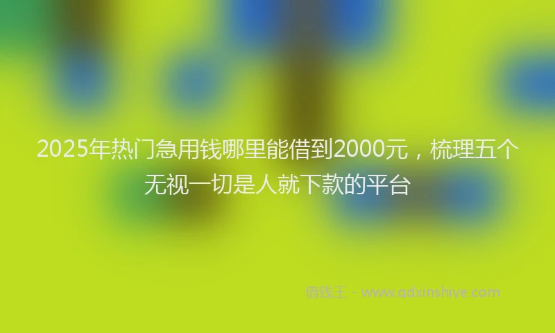 2025年热门急用钱哪里能借到2000元，梳理五个无视一切是人就下款的平台