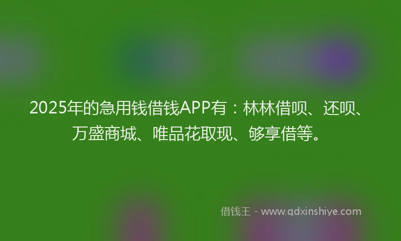 2025年的急用钱借钱APP有：林林借呗、还呗、万盛商城、唯品花取现、够享借等。