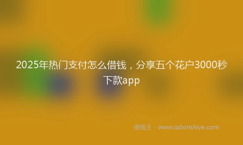 2025年热门支付怎么借钱，分享五个花户3000秒下款app
