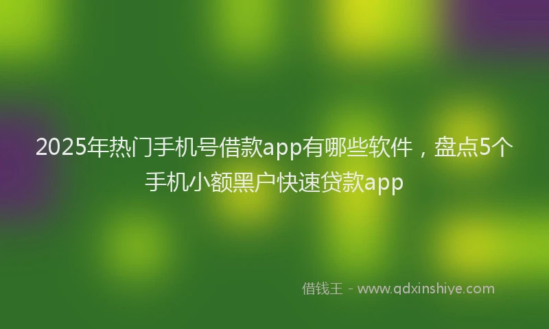 2025年热门手机号借款app有哪些软件，盘点5个手机小额黑户快速贷款app