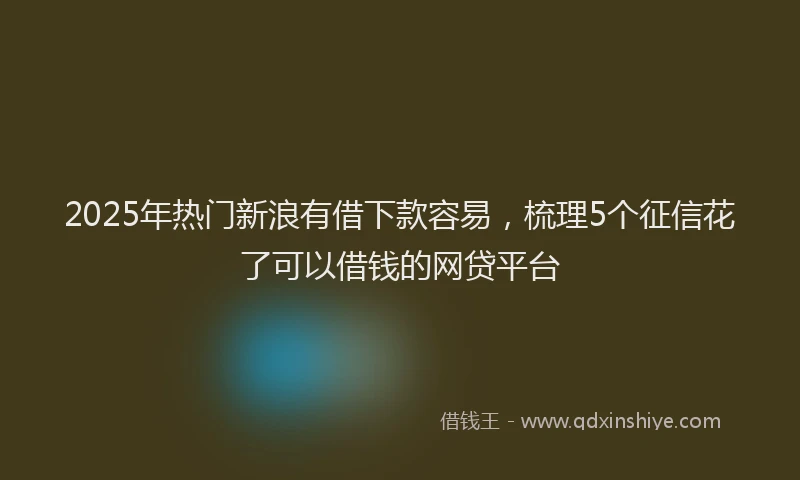 2025年热门新浪有借下款容易，梳理5个征信花了可以借钱的网贷平台
