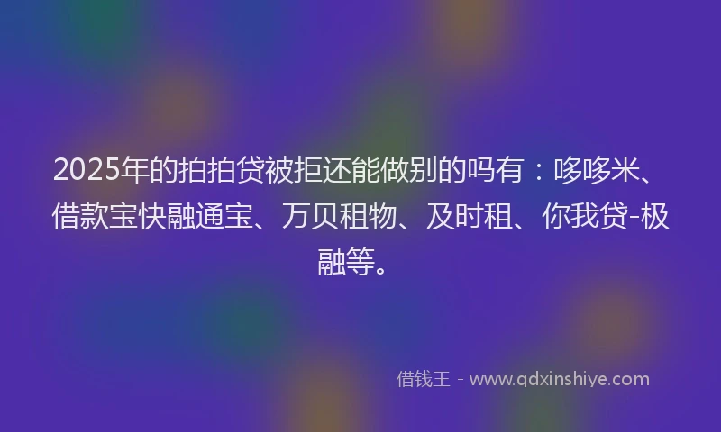 2025年的拍拍贷被拒还能做别的吗有：哆哆米、借款宝快融通宝、万贝租物、及时租、你我贷-极融等。