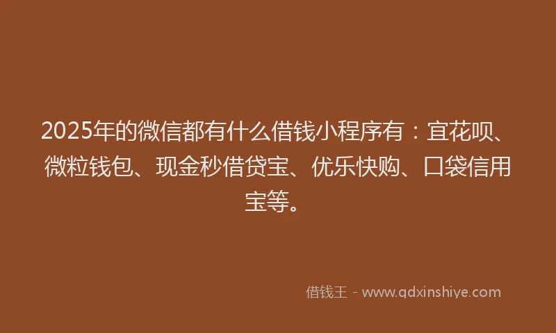 2025年的微信都有什么借钱小程序有：宜花呗、微粒钱包、现金秒借贷宝、优乐快购、口袋信用宝等。