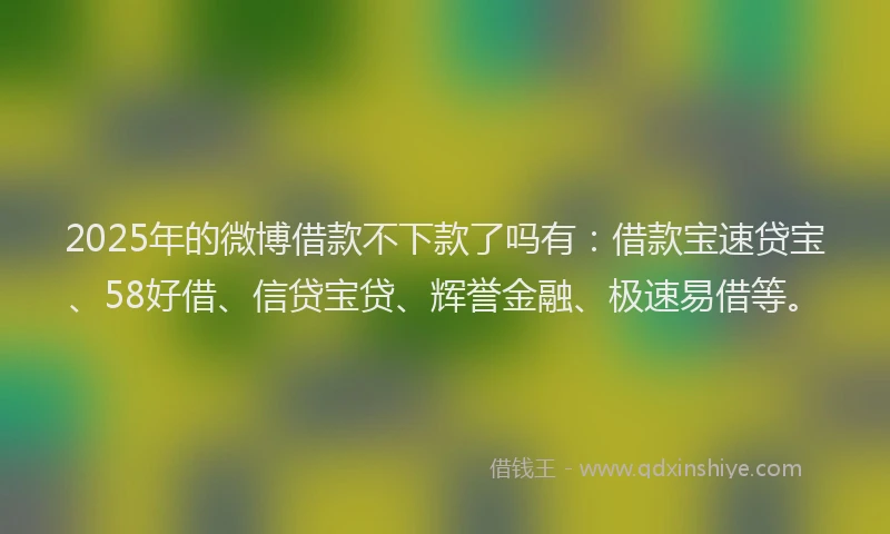 2025年的微博借款不下款了吗有：借款宝速贷宝、58好借、信贷宝贷、辉誉金融、极速易借等。