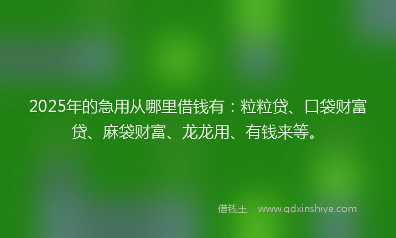 2025年的急用从哪里借钱有：粒粒贷、口袋财富贷、麻袋财富、龙龙用、有钱来等。