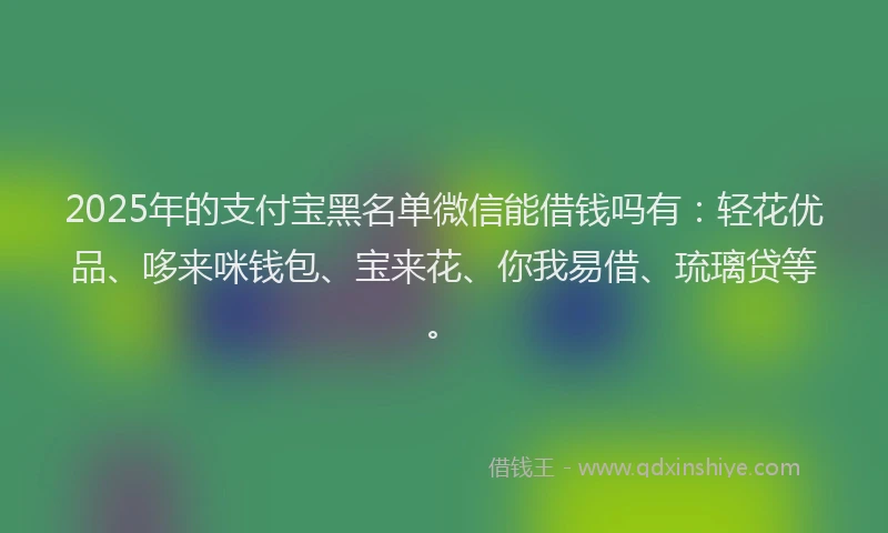 2025年的支付宝黑名单微信能借钱吗有：轻花优品、哆来咪钱包、宝来花、你我易借、琉璃贷等。