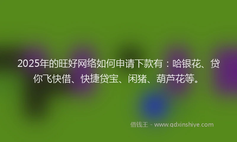 2025年的旺好网络如何申请下款有：哈银花、贷你飞快借、快捷贷宝、闲猪、葫芦花等。