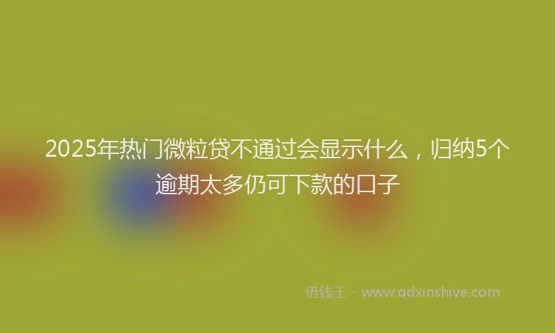 2025年热门微粒贷不通过会显示什么，归纳5个逾期太多仍可下款的口子