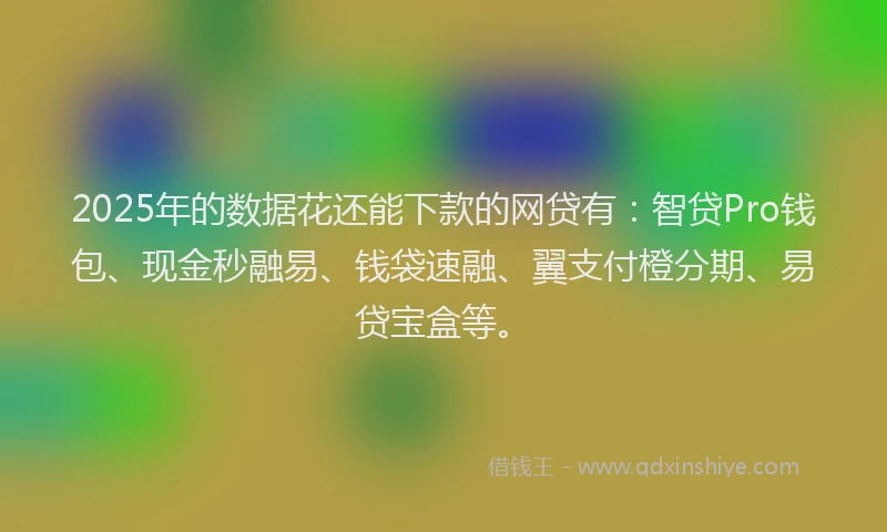 2025年的数据花还能下款的网贷有：智贷Pro钱包、现金秒融易、钱袋速融、翼支付橙分期、易贷宝盒等。